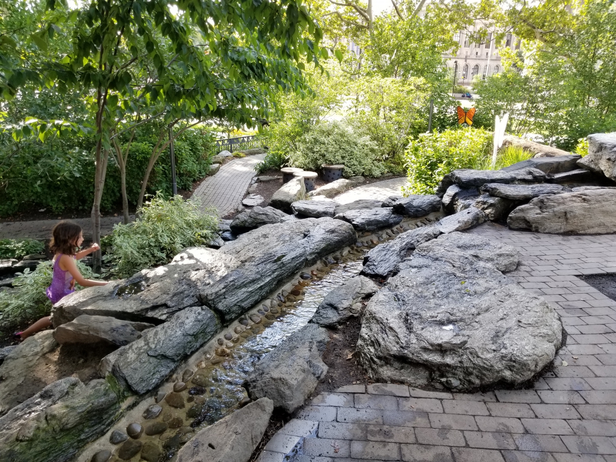 Winding Stream at Sister Cities Park Winding Stream at Sister Cities Park