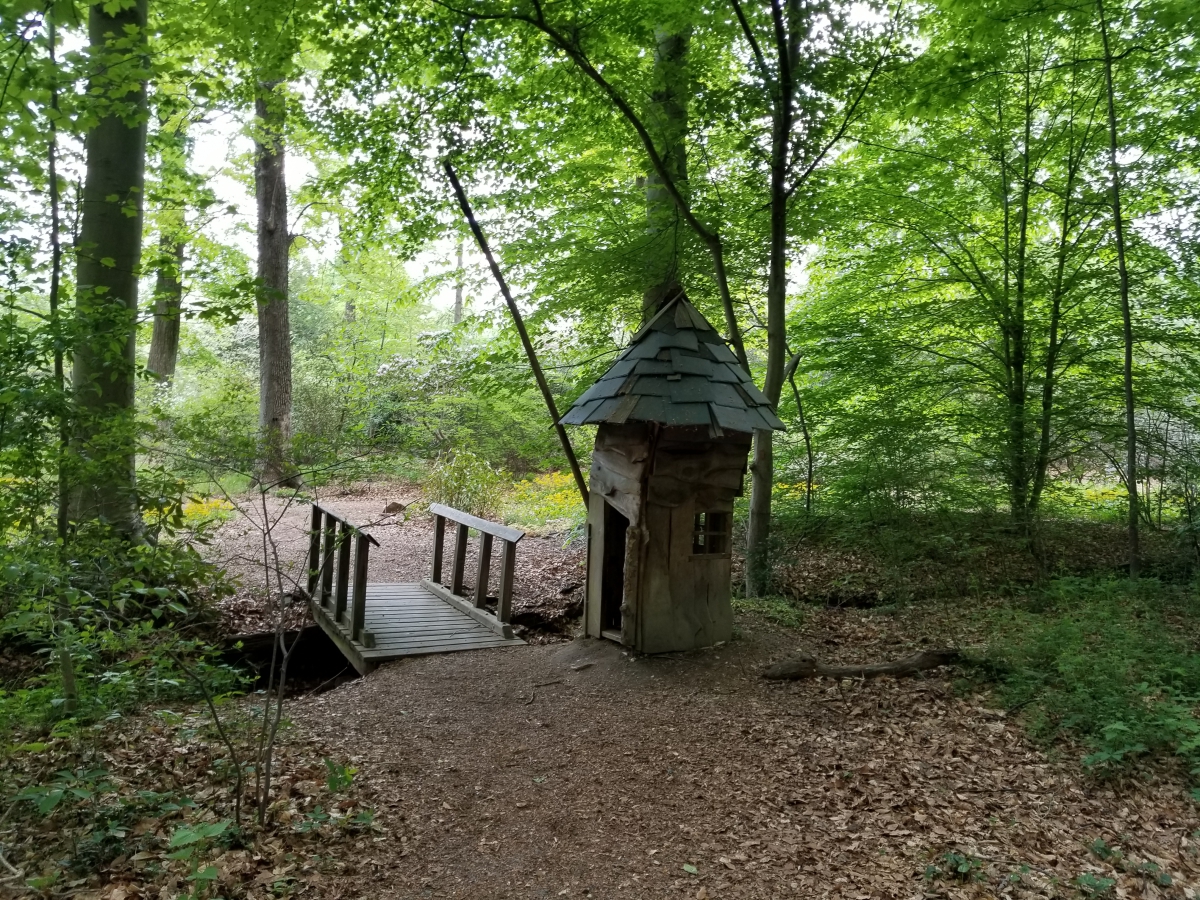 Hiking Trail Hiking Trail